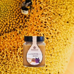CLOVER HONEY (420 GR / 0.93 LB)